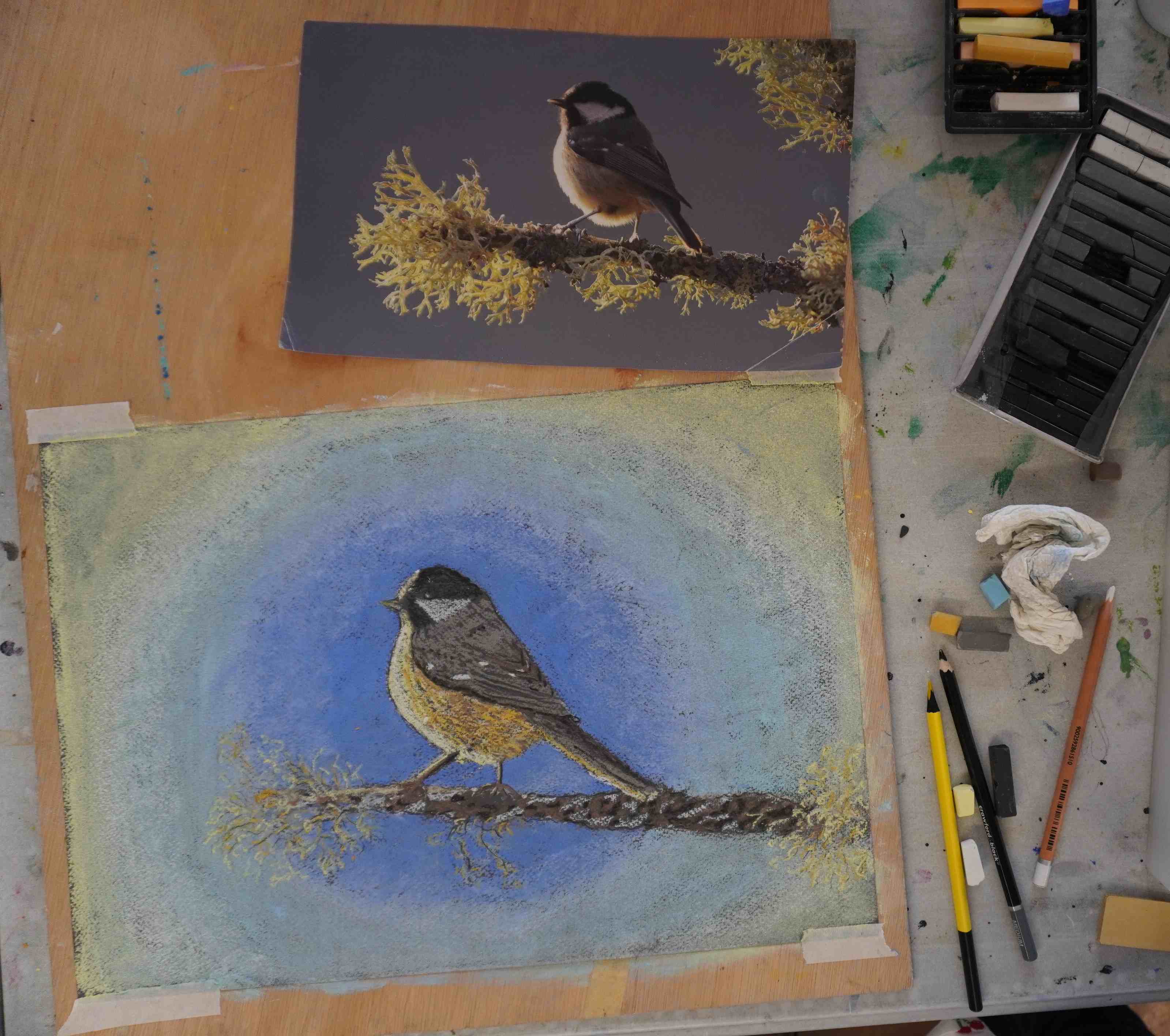 Student artworks from Anteros soft pastel birds workshop