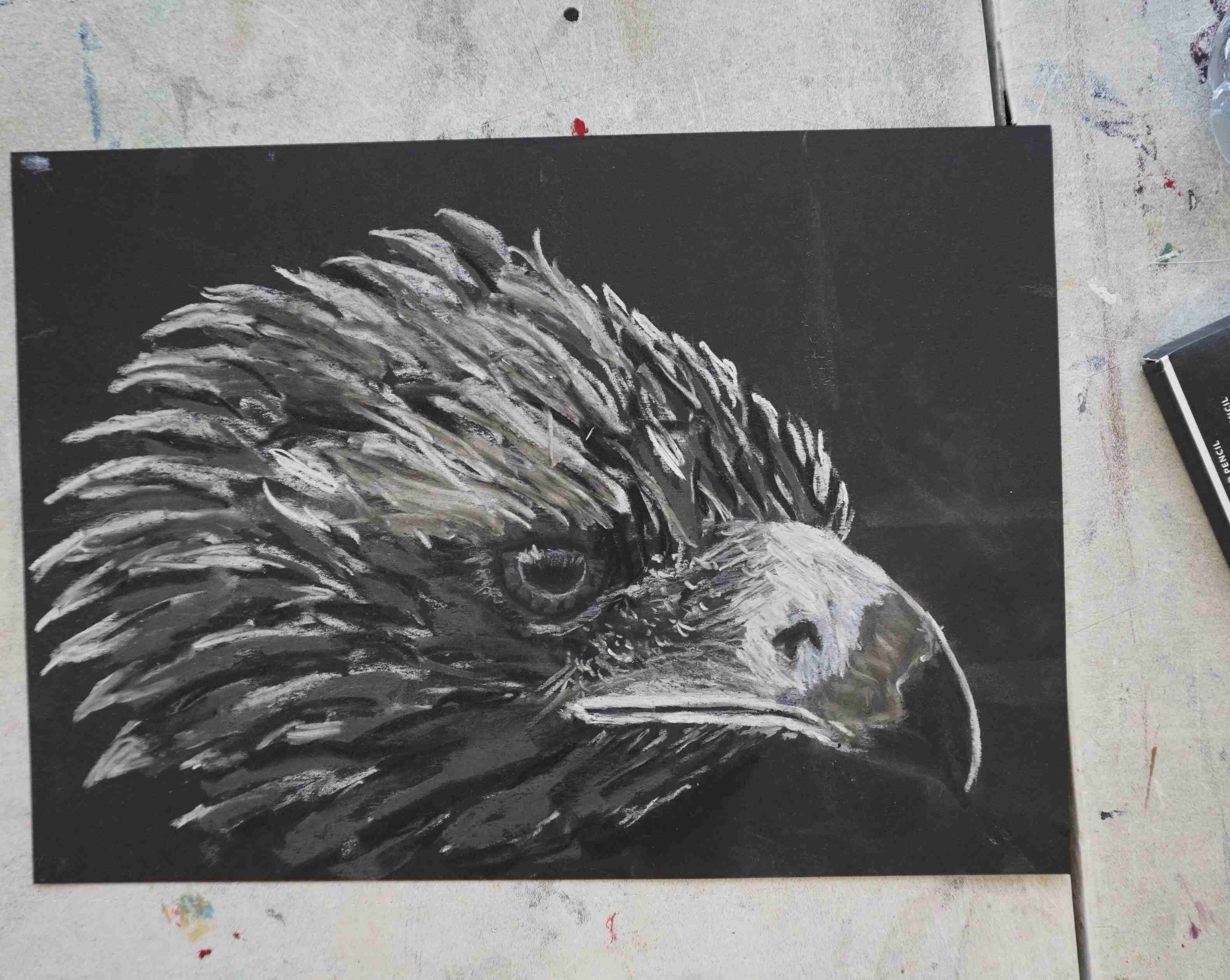 Student Drawing from Charcoal and Chalk Animal workshop in Norwich.